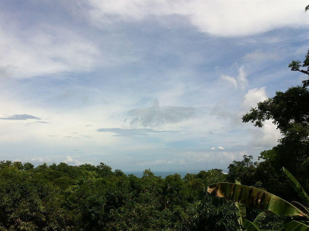 Hotel California Nationalpark Nationalpark Manuel Antonio Exterior foto