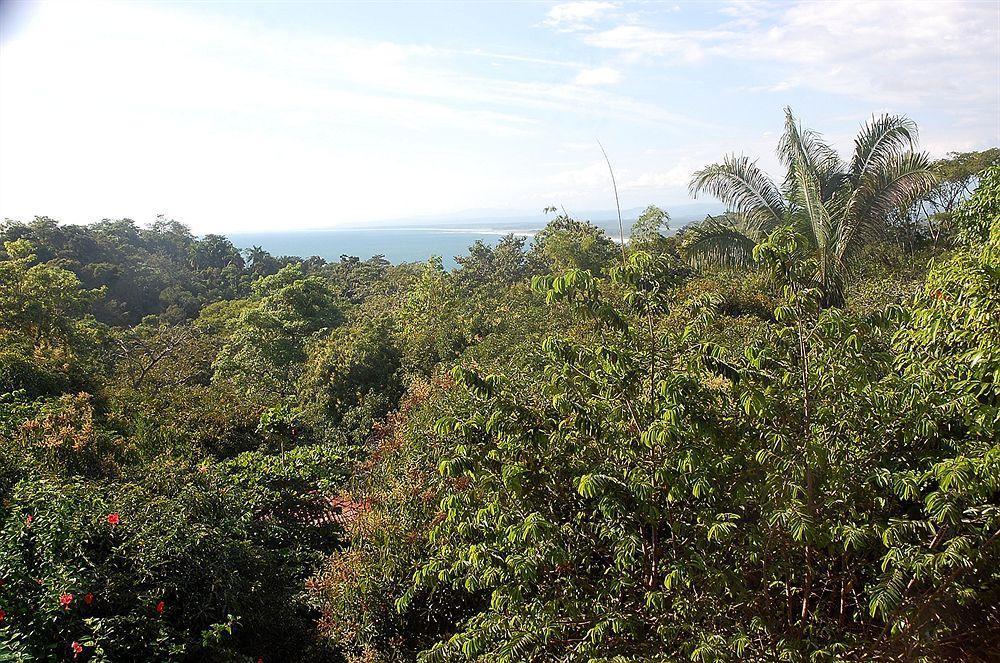 Hotel California Nationalpark Nationalpark Manuel Antonio Exterior foto